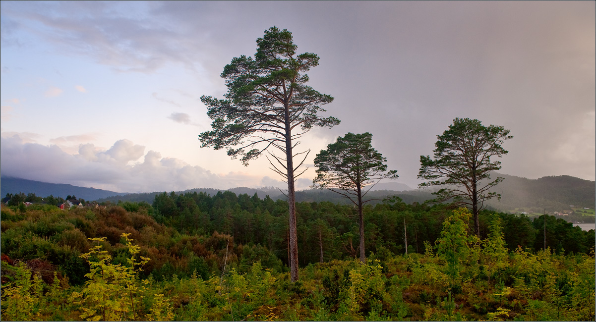 photo "***" tags: landscape, sunset