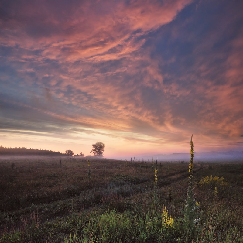 photo "***" tags: landscape, summer, sunset