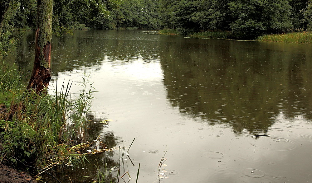 photo "Autumn mood" tags: landscape, forest, water