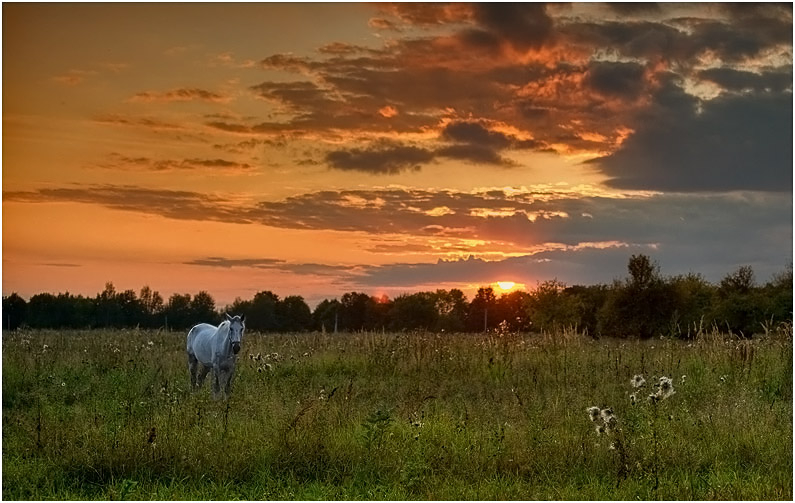 photo "***" tags: landscape, summer, sunset