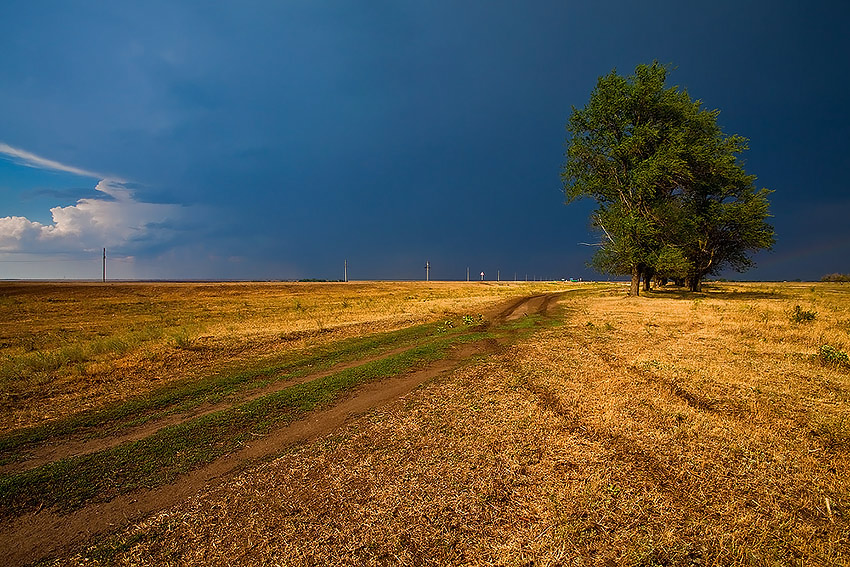 photo "Before the Storm" tags: , 