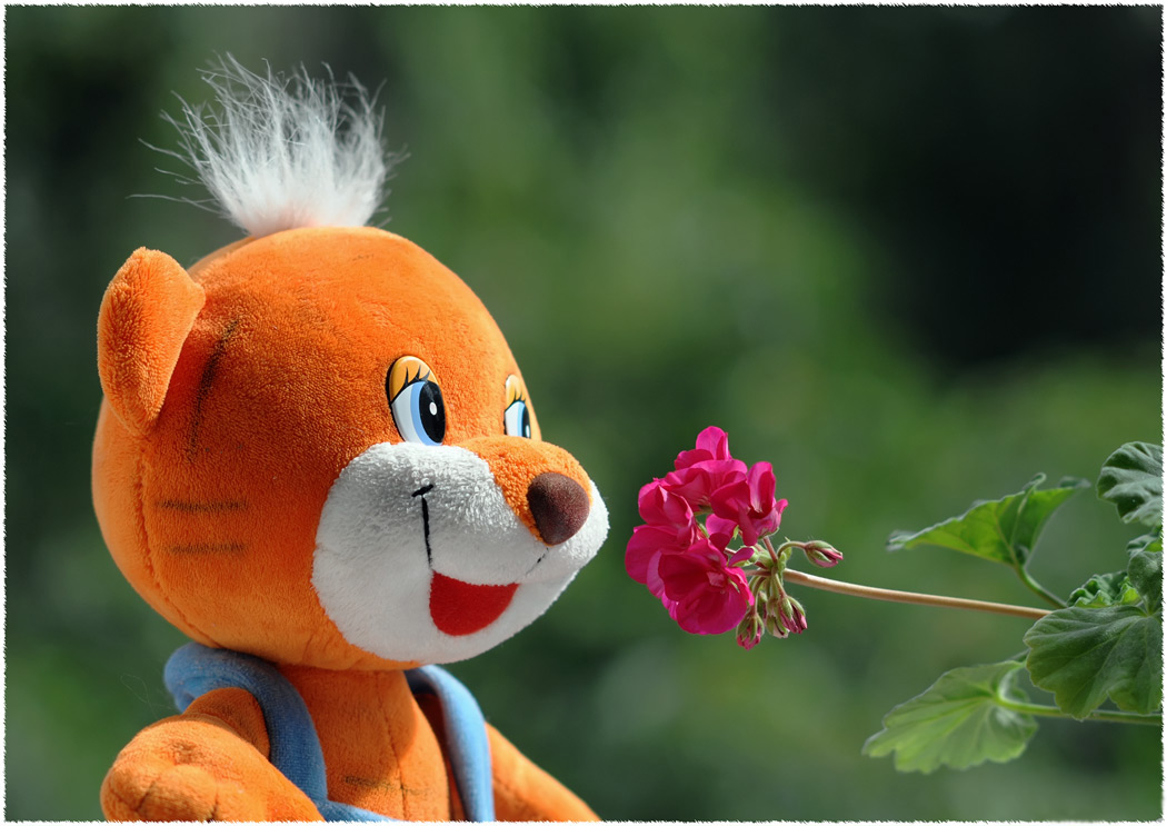 photo "portrait" tags: misc., 