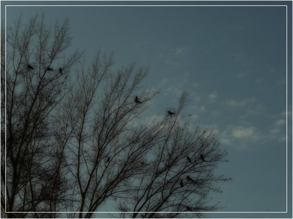photo "Осень" tags: landscape, autumn