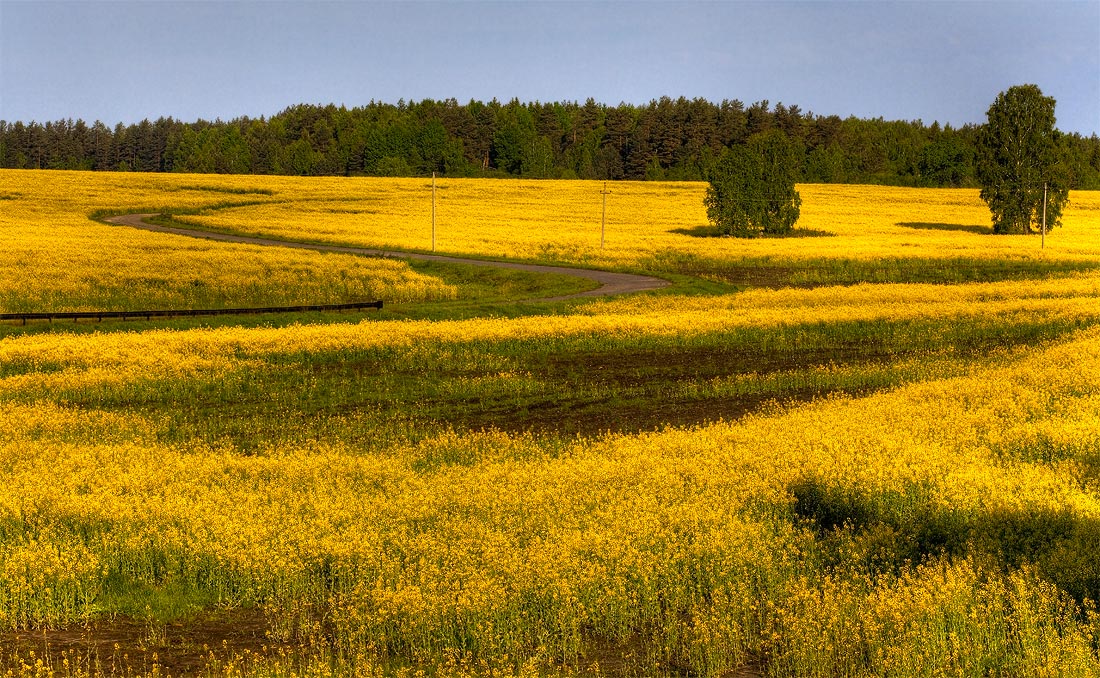 photo "***" tags: landscape, 