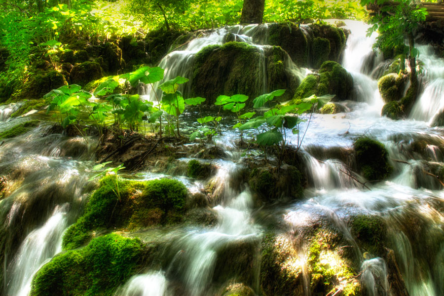 фото "Plitvice Jazeera" метки: пейзаж, путешествия, Европа, вода