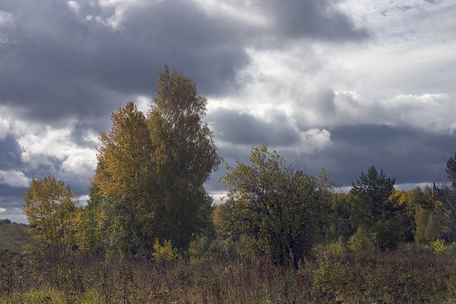 photo "***" tags: landscape, autumn, forest