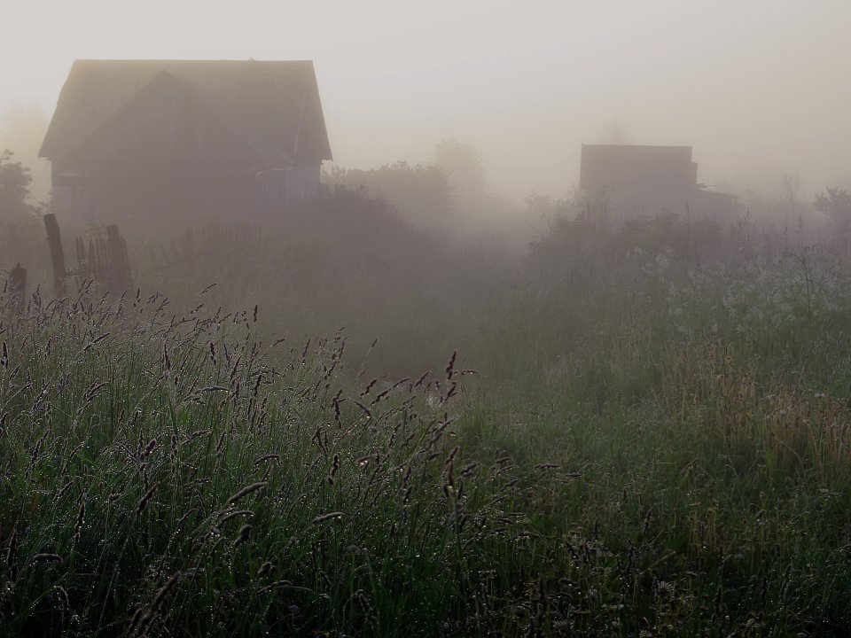 photo "mist morning" tags: landscape, summer