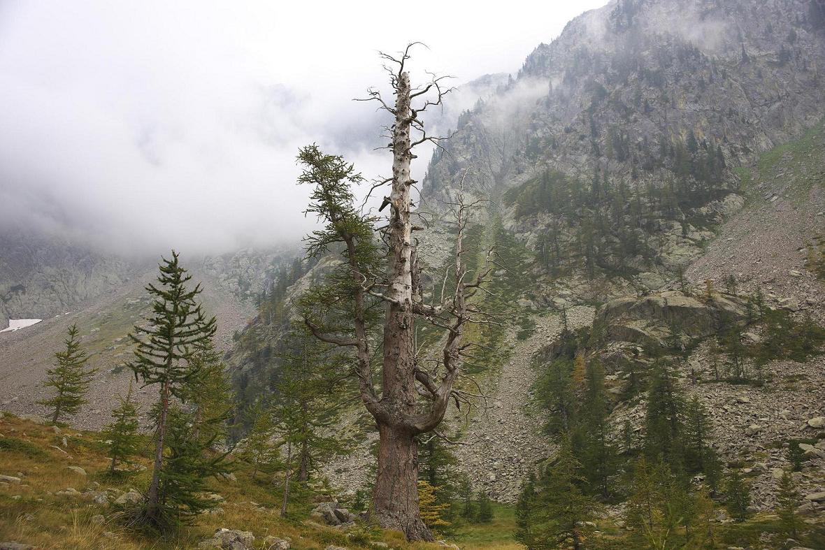 фото "Mountain landscape" метки: пейзаж, горы