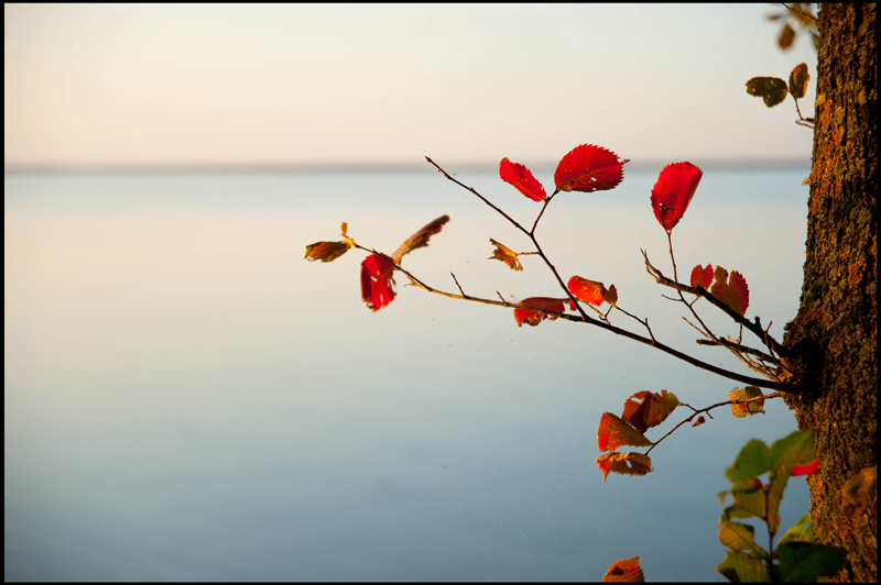 photo "* * *" tags: landscape, autumn, water
