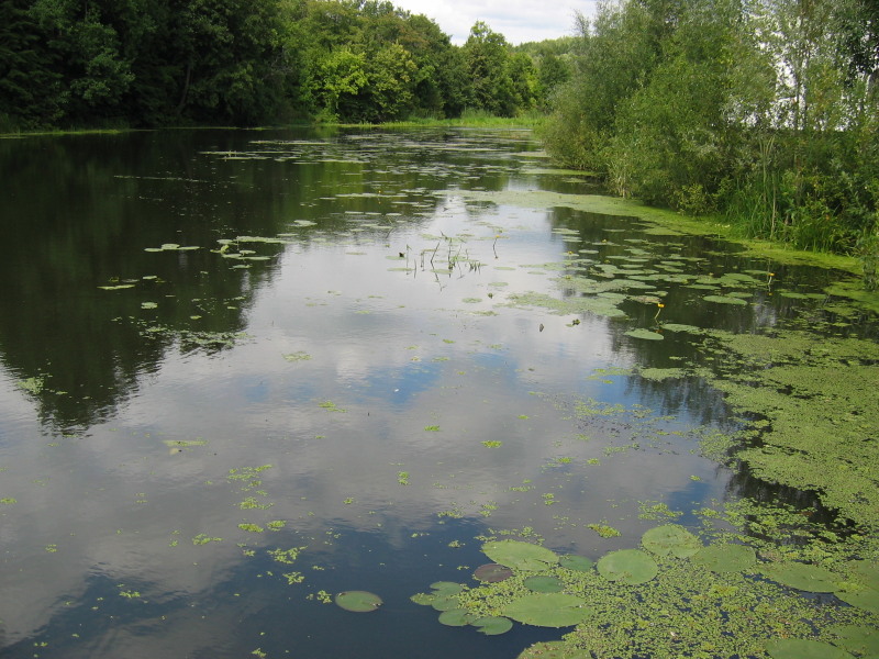 photo "***" tags: landscape, water