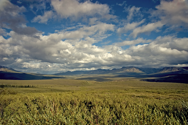 photo "Field" tags: landscape, 