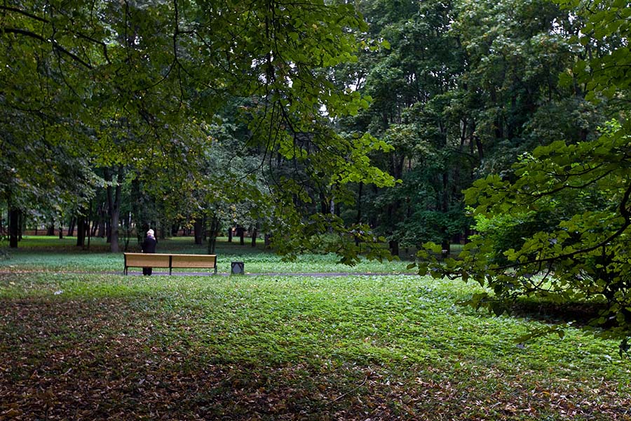 photo "Early Autumn" tags: landscape, autumn, forest