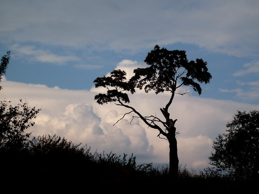 photo "***" tags: landscape, autumn, clouds