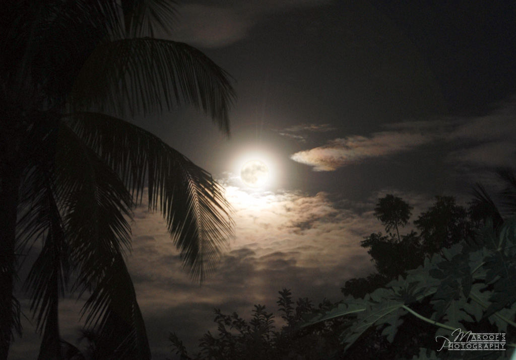 фото "FULL MOON" метки: пейзаж, ночь