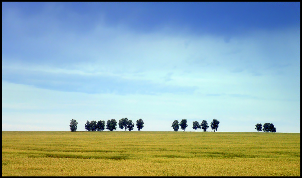 фото "..." метки: пейзаж, лето