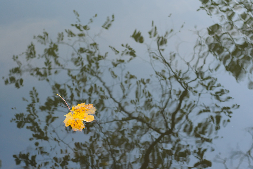 photo "***" tags: nature, landscape, water