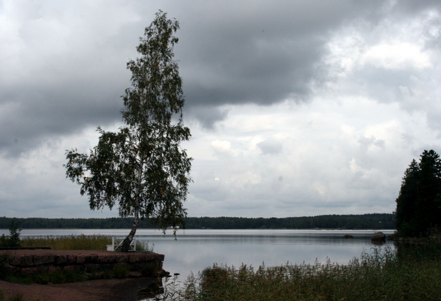 фото "Одинокая....." метки: пейзаж, вода