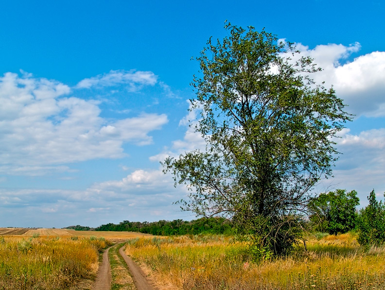 фото "Малороссийский пейзаж" метки: , 