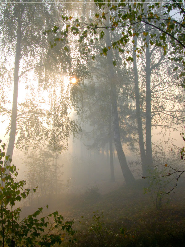 фото "Утро туманное 2" метки: , 