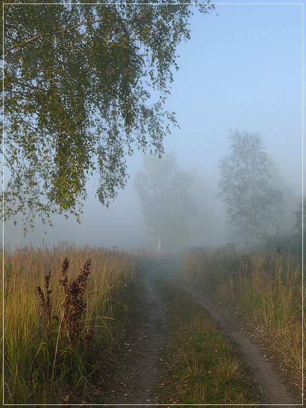 фото "Утро туманное 3" метки: пейзаж, закат, осень