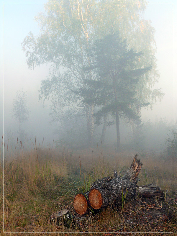 фото "Утро туманное 4" метки: пейзаж, закат, осень