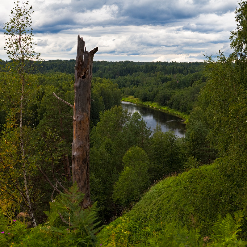photo "***" tags: landscape, 