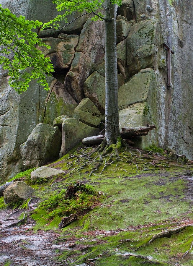 photo "***" tags: landscape, 