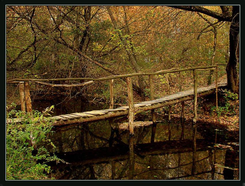 photo "***" tags: landscape, autumn