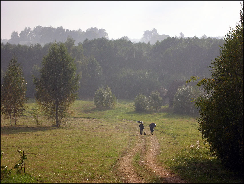 photo "Mushroom rain" tags: landscape, summer