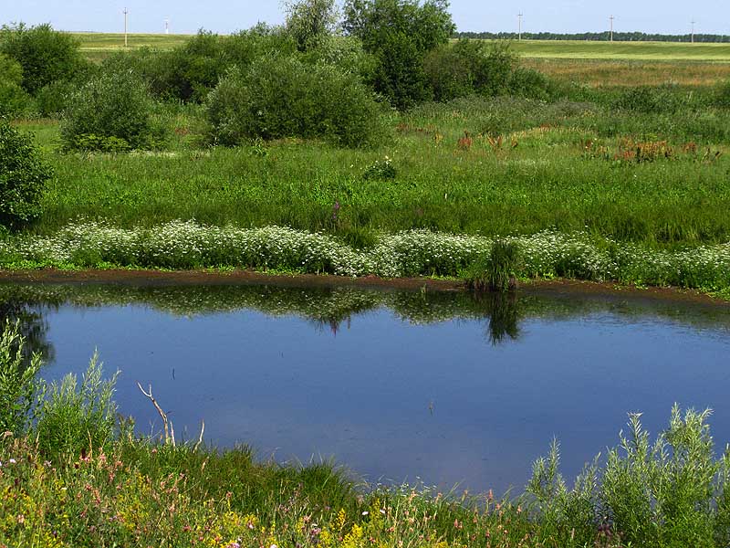 photo "Lake" tags: landscape, spring