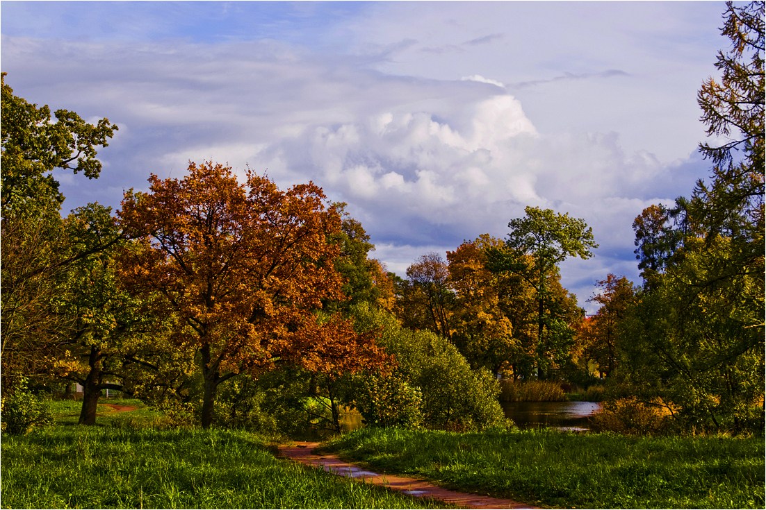 photo "September" tags: landscape, autumn, forest