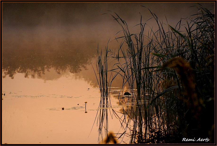 фото "so quiet here" метки: пейзаж, вода, закат