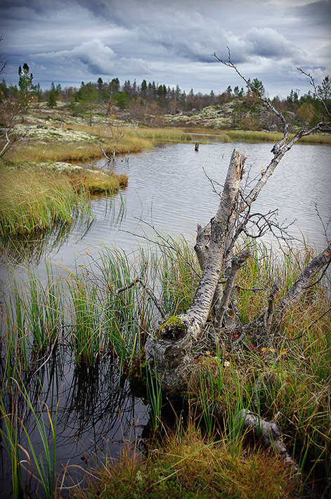 photo "In autumn" tags: landscape, autumn, water
