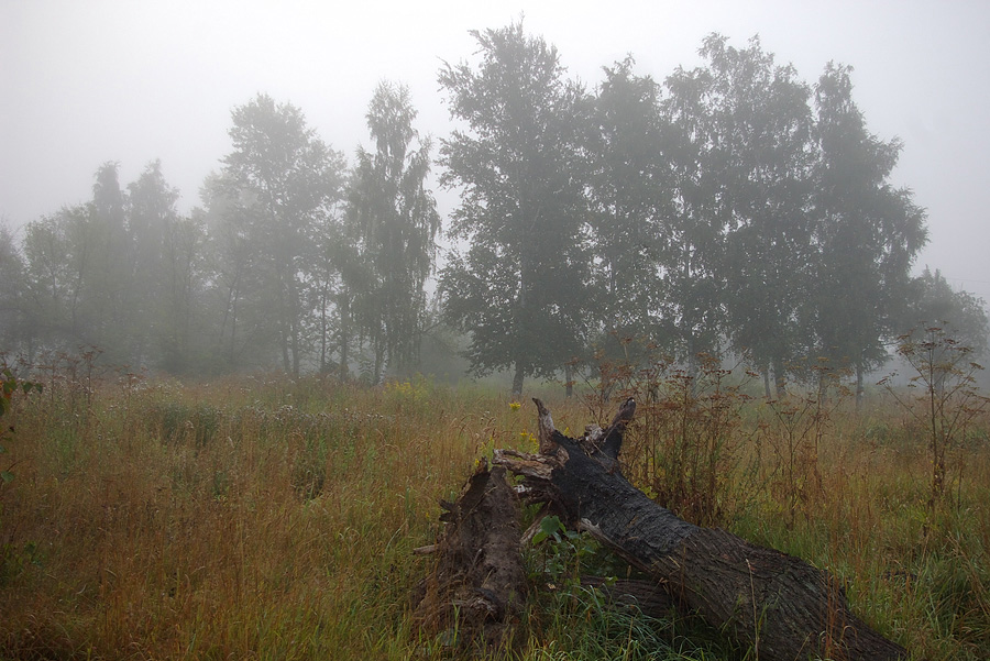 photo "***" tags: landscape, summer