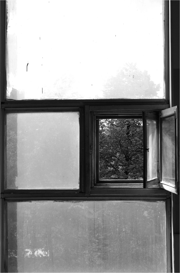 photo "H" tags: fragment, black&white, 