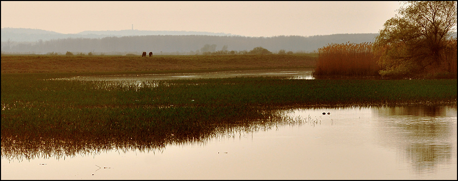 photo "***" tags: landscape, 