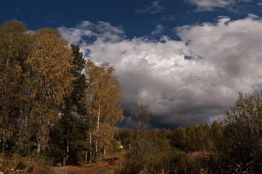 photo "***" tags: landscape, autumn, forest