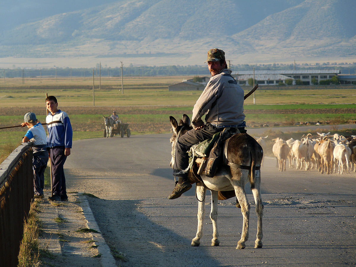 фото "***" метки: жанр, 