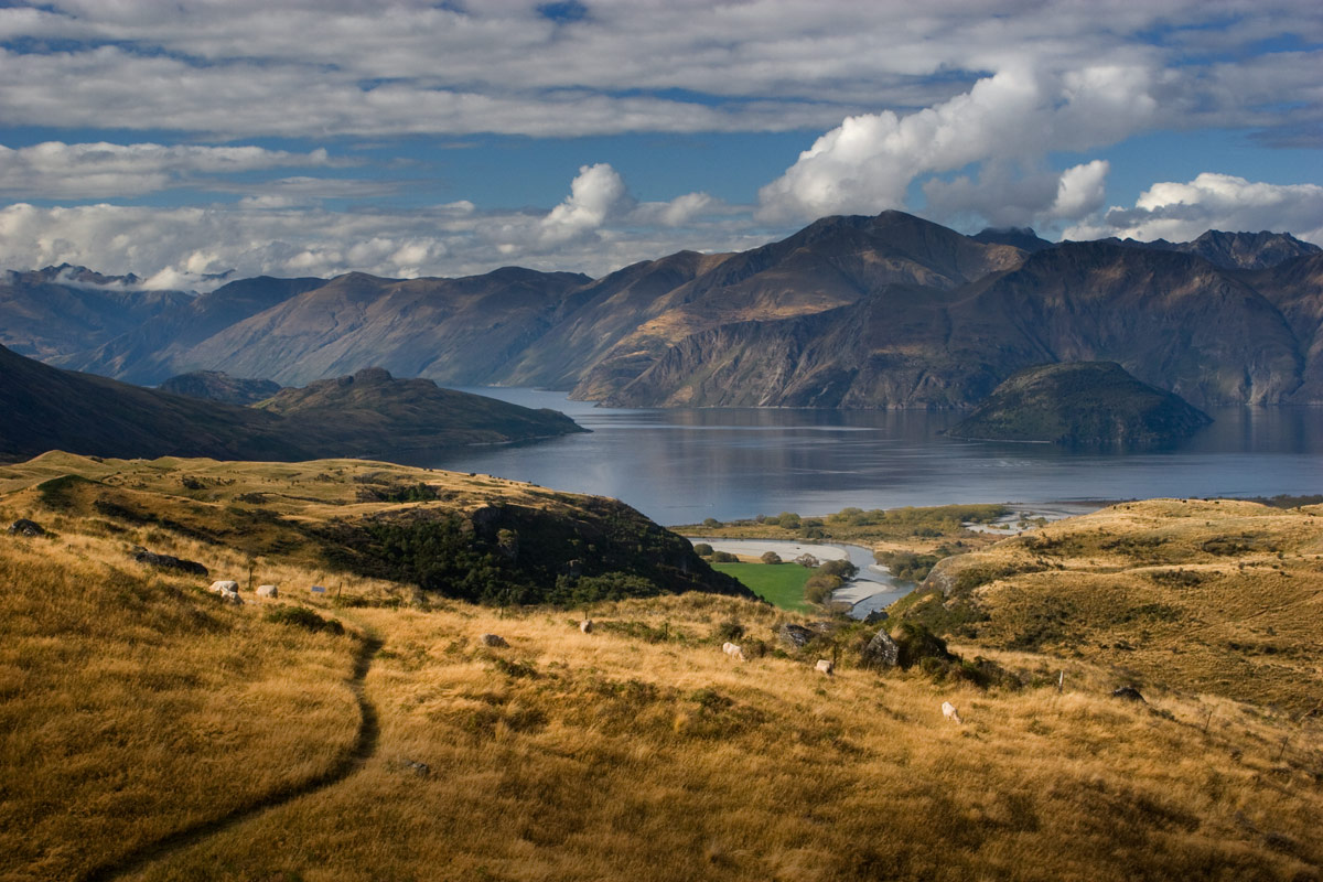 photo "Afternoon in Wanaka" tags: landscape, autumn, water