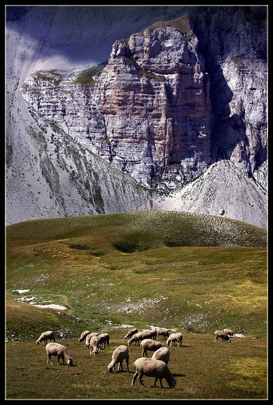 фото "Mountain grazing" метки: пейзаж, горы