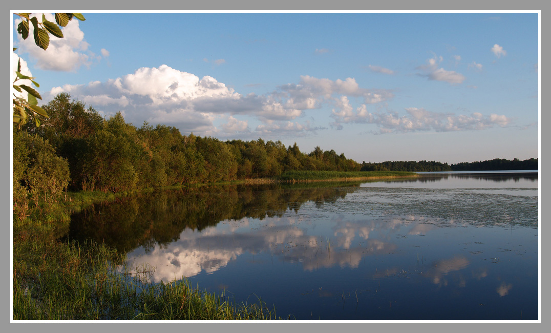 photo "***" tags: landscape, summer