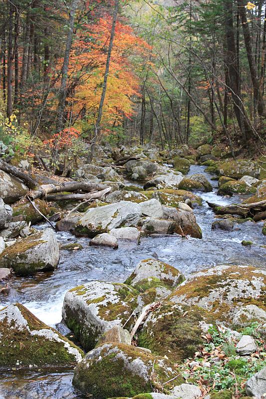 фото "Река Черёмуховая" метки: пейзаж, осень