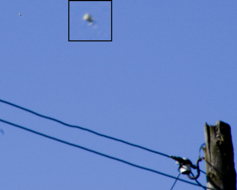 photo "UFO" tags: misc., reporting, 