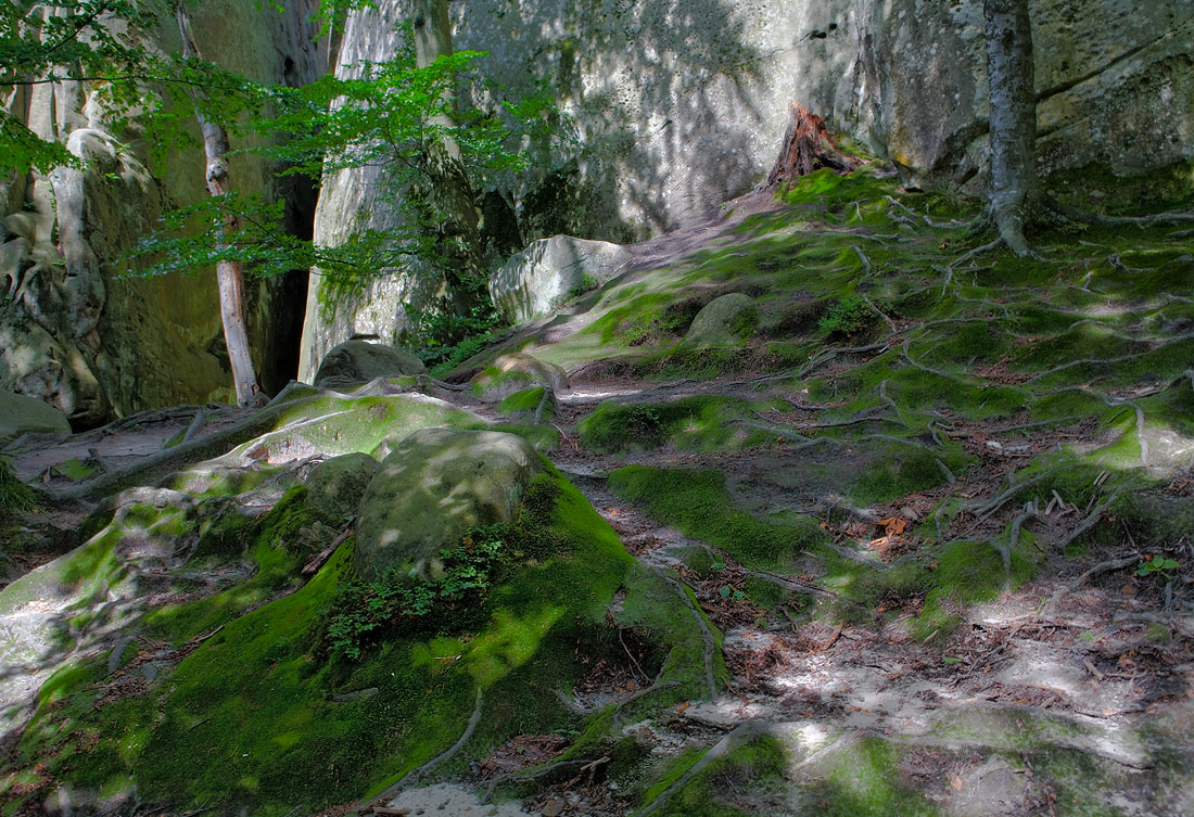 photo "***" tags: landscape, 