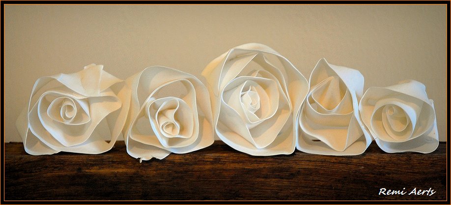 photo "five white roses" tags: nature, macro and close-up, flowers