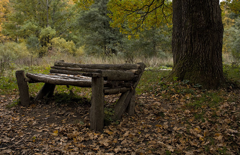 photo "***" tags: landscape, autumn, forest