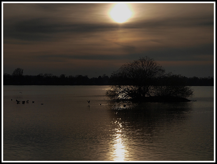 photo "Lake "Damhus soen " Copenhagen" tags: landscape, sunset, water