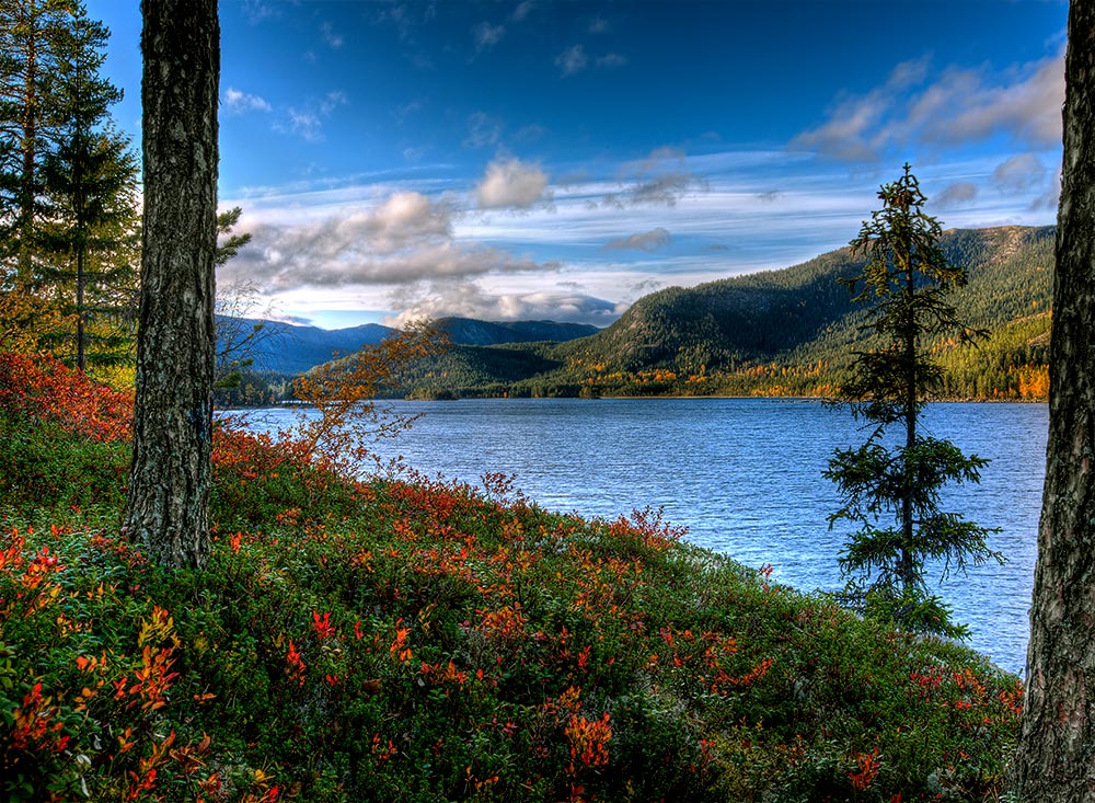 photo "Fall in Norwegian Mountain.." tags: landscape, water