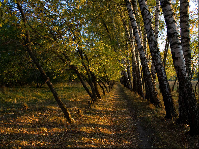 photo "***" tags: landscape, autumn