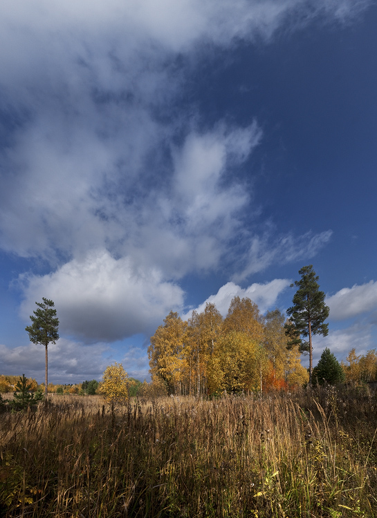 photo "***" tags: landscape, autumn